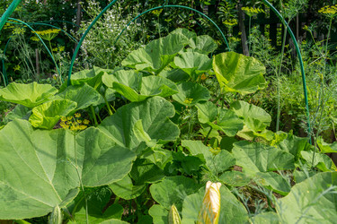 Similar image 21690446