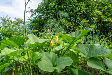 Similar image 21690447