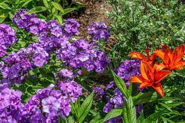 Similar image 21690450