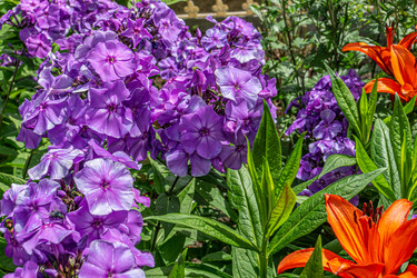 Similar image 21690451