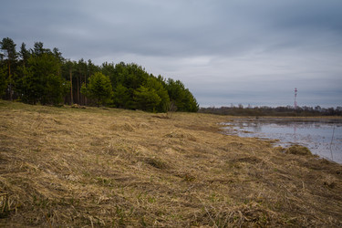 Similar image 21690454