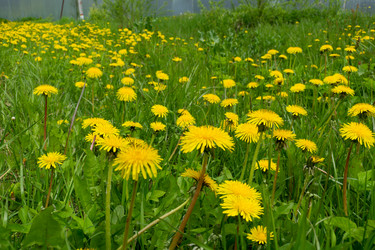 Similar image 21690459