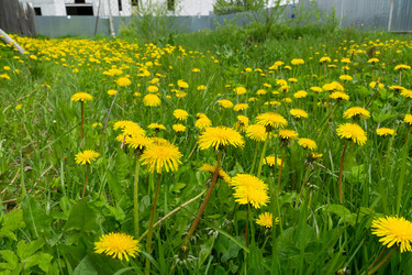 Similar image 21690460