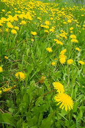 Similar image 21690461