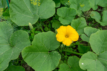 Similar image 21690462