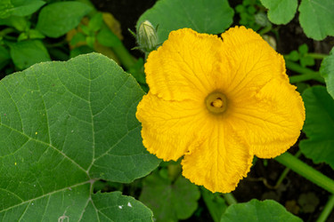 Similar image 21690463