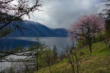 Similar image 21693412