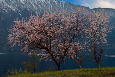 Similar image 21693413