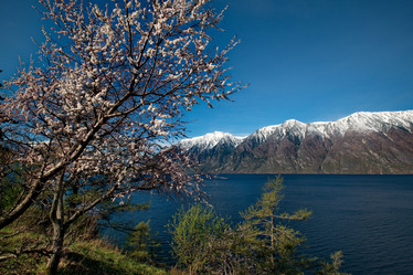 Similar image 21693414