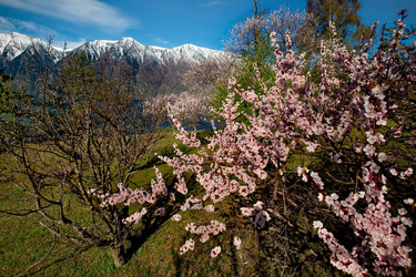 Similar image 21693415