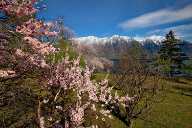 Similar image 21693416