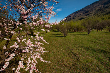 Similar image 21693417