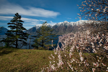 Similar image 21693418