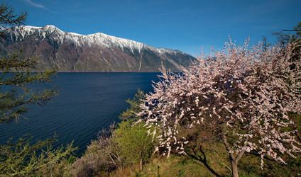 Similar image 21693419