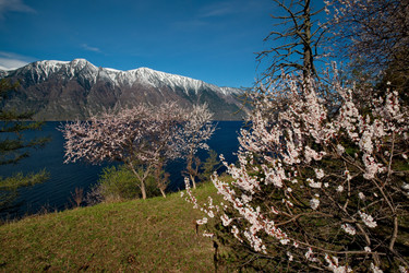 Similar image 21693420