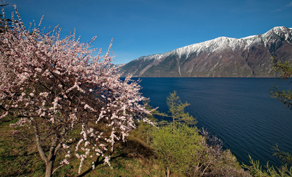 Similar image 21693421