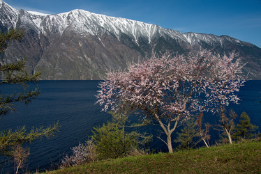 Similar image 21693423