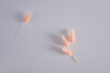 Similar image 21689018