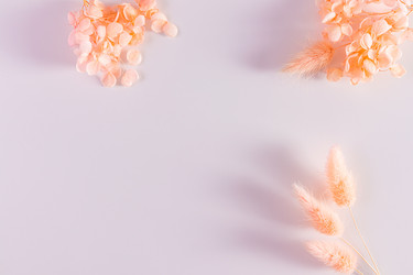 Similar image 21689019