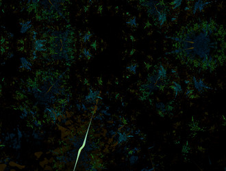 Similar image 21695470