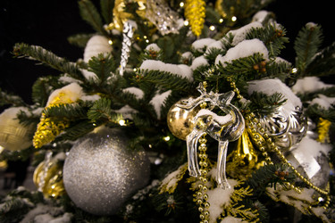 Similar image 21690132