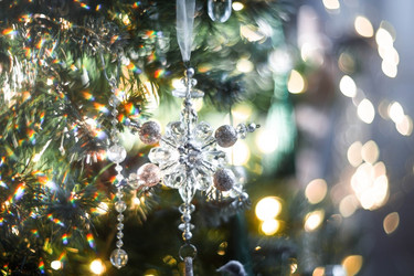 Similar image 21690232