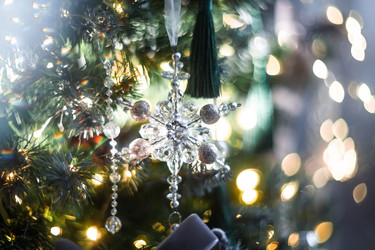 Similar image 21690245