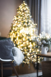 Similar image 21690246