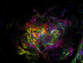 Similar image 21693766