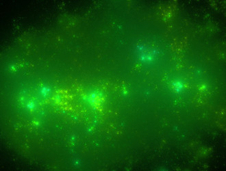 Similar image 21693775