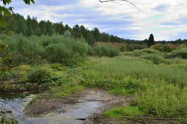 Similar image 21690611