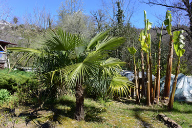 Similar image 21690618