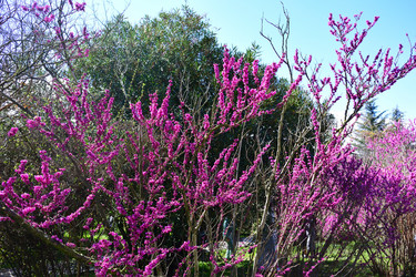 Similar image 21690619