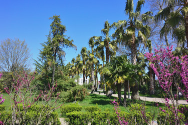 Similar image 21690620