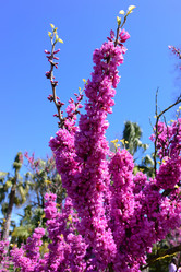 Similar image 21690621