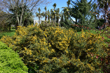 Similar image 21690623