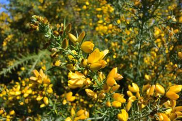 Similar image 21690624