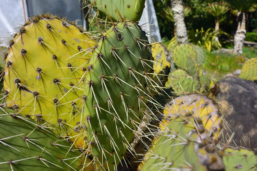 Similar image 21690625