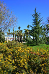 Similar image 21690626