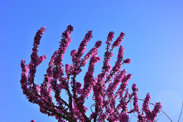 Similar image 21690627