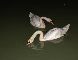 Similar image 21690634