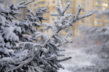 Similar image 21691015