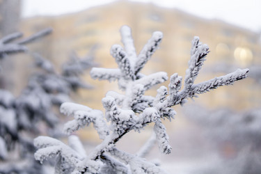 Similar image 21690838