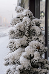 Similar image 21690839