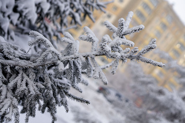 Similar image 21690840