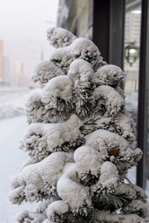 Similar image 21690841