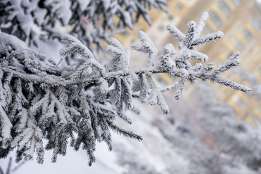 Similar image 21690842