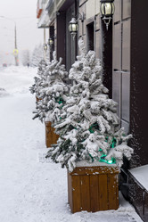 Similar image 21690843