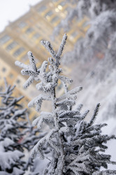 Similar image 21690844