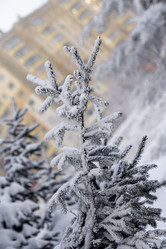 Similar image 21690846